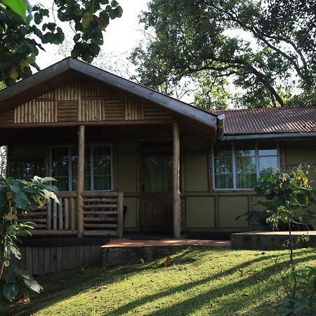Nkuringo Bwindi Gorilla Lodge Bwindi Impenetrable Park Exterior foto