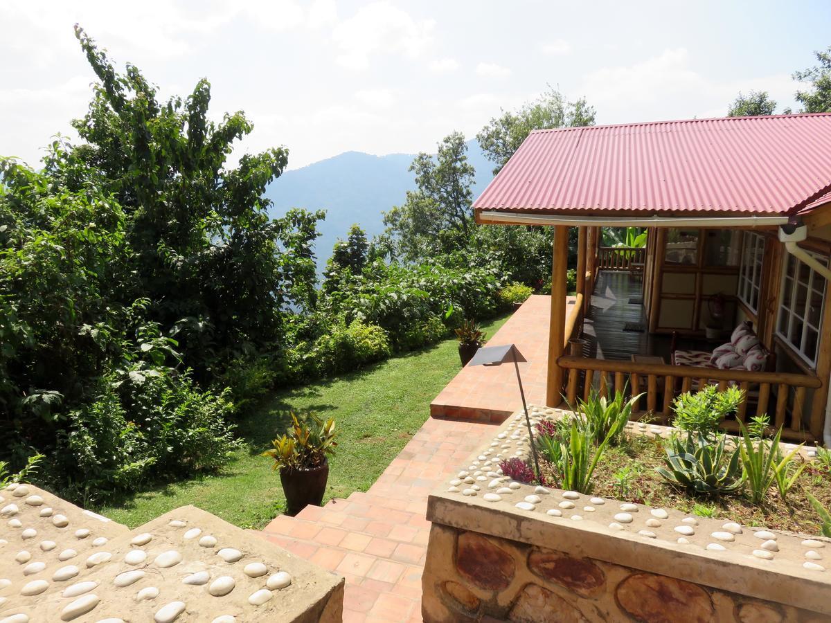 Nkuringo Bwindi Gorilla Lodge Bwindi Impenetrable Park Exterior foto