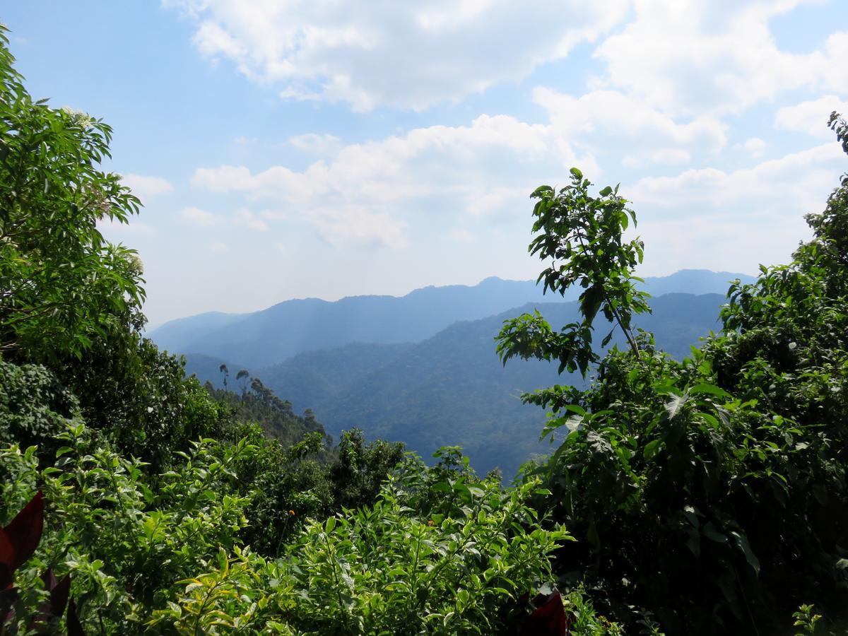 Nkuringo Bwindi Gorilla Lodge Bwindi Impenetrable Park Exterior foto
