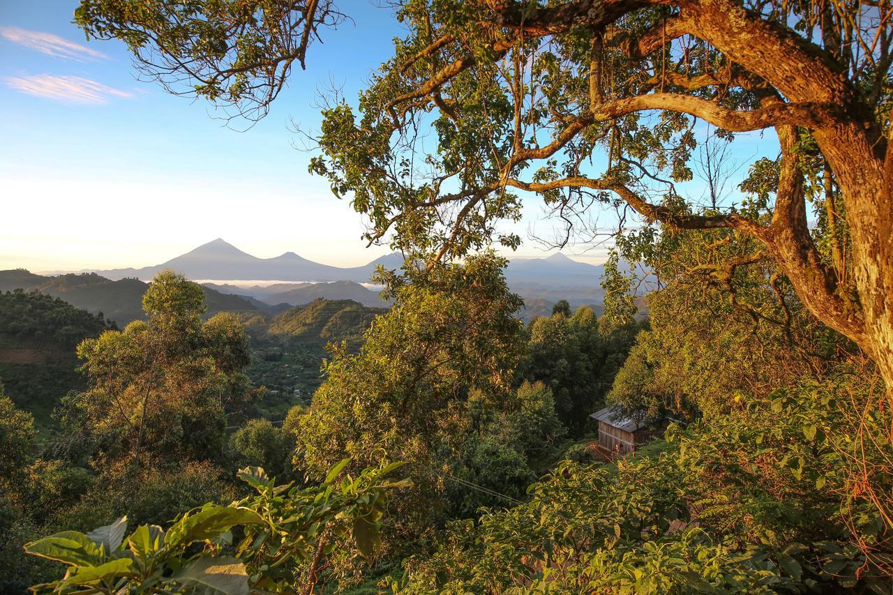 Nkuringo Bwindi Gorilla Lodge Bwindi Impenetrable Park Exterior foto