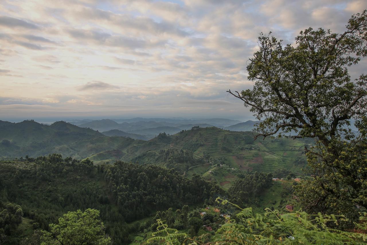 Nkuringo Bwindi Gorilla Lodge Bwindi Impenetrable Park Exterior foto