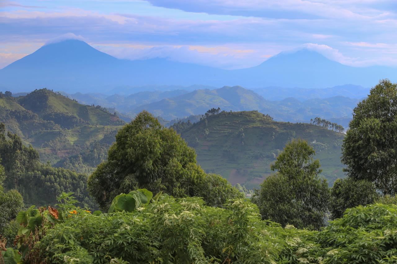 Nkuringo Bwindi Gorilla Lodge Bwindi Impenetrable Park Exterior foto